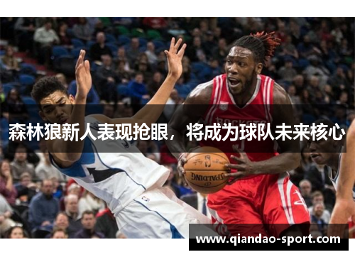 森林狼新人表现抢眼，将成为球队未来核心