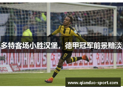 多特客场小胜汉堡，德甲冠军前景黯淡